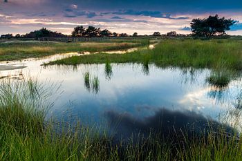 Iron Man High Veluwe
