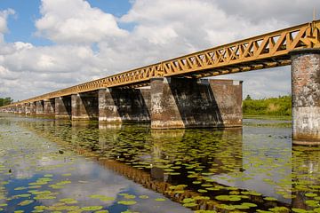 Oude spoorbrug weerspiegeling van Tiny Jegerings