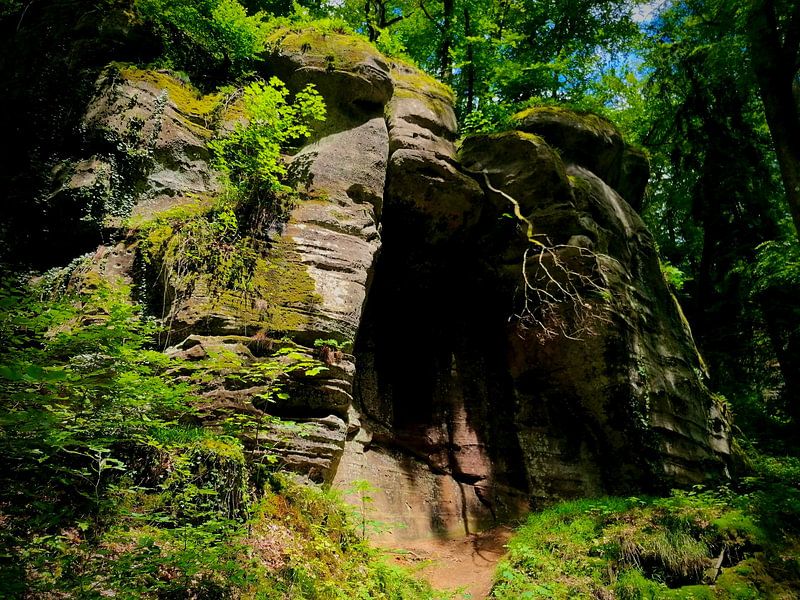 Rock with moss in green nature reserve in Luxembourg with branch by MysticalMagicalNature