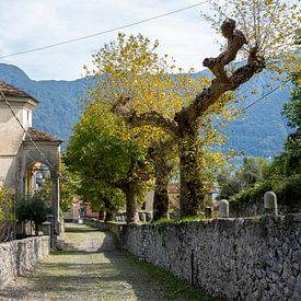 Sacro Monte della Beata Vergine del Socorso van Rick Van der Poorten