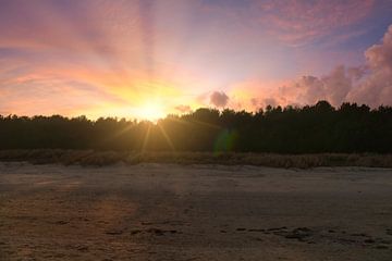 Uitzicht vanaf de Baltische Zee naar het strand op Usedom met zonsondergang achter het bos van Martin Köbsch