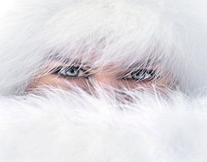 Green eyes
