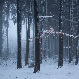 Winter in Nederland van Marieke Smetsers