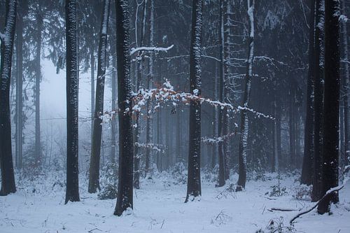 Winter in den Niederlanden
