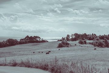 Landschaps foto over Knebel in Denemarken van Tina Linssen