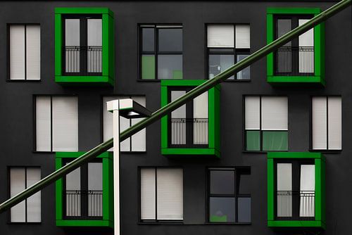 Groene Kozijnen- Green window Frames (Awarded)