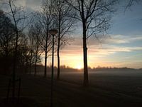opkomende zon 
