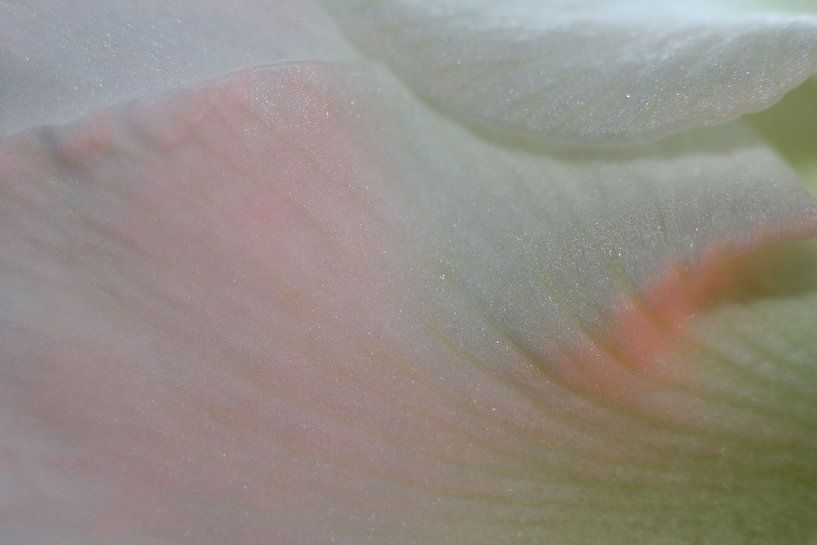 Wellen von Blumen von Wendy Schellekens