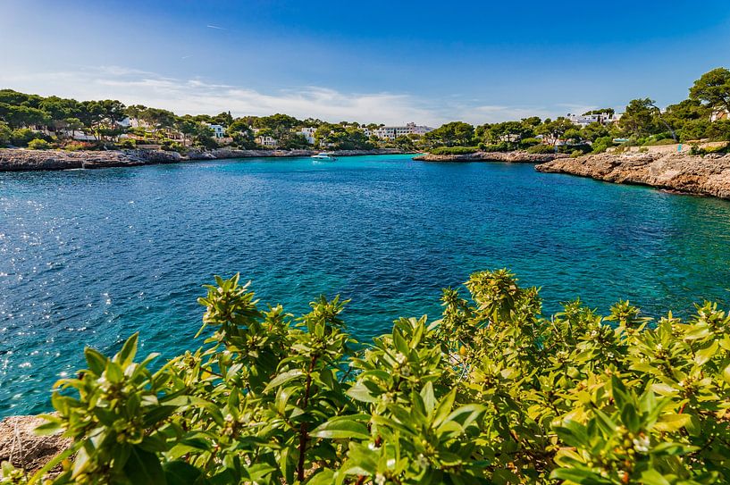 Beautiful view of seaside coast of Cala Dor, Mallorca by Alex Winter