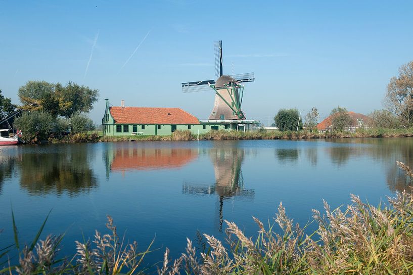 Stellingmolen &quot;De Pauw&quot; Nauerna by Richard Wareham