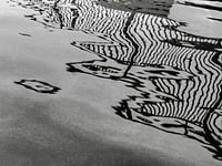 Lignes abstraites