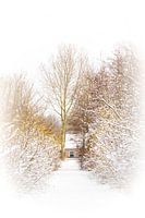 Winter landscape in Hoofddorp