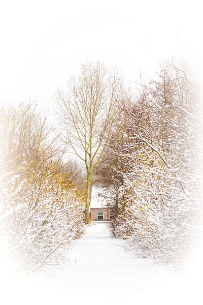 Winterlandschaft in Hoofddorp von tovano.pictures