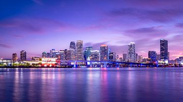 miami by Frank Peters