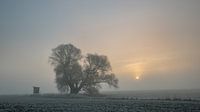 Silent morning