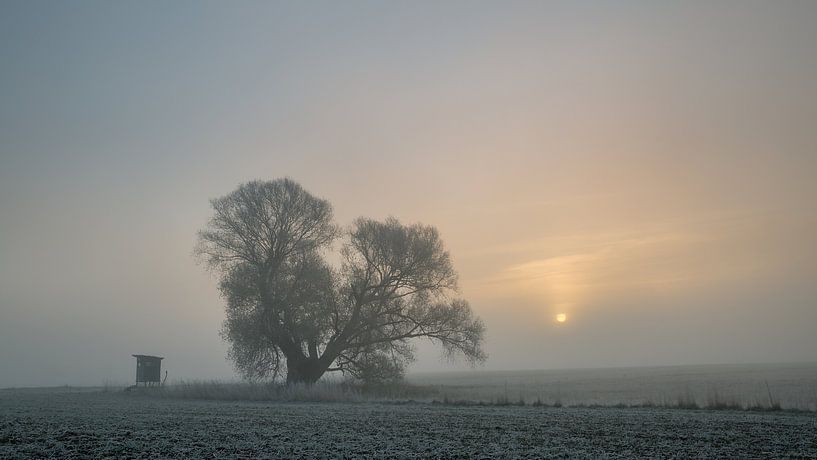 Stiller Morgen von Ronny Rohloff