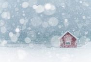 Het rode huisje van Ramberg op de Lofoten van Nancy Carels thumbnail
