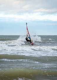Windsurfer Domburg by MSP Canvas