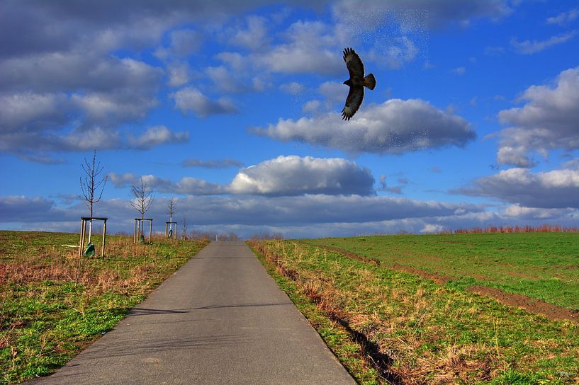 Startbaan van Edgar Schermaul