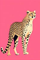 Leopard in Pink