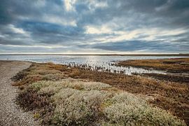 Wadden Sea - 6 by Rob van der Pijll