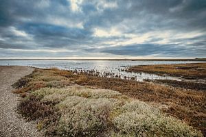 Wattenmeer - 6