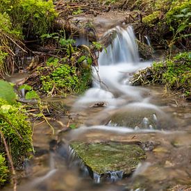 Quellwasser von Robin Feldmann