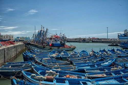Blauwe vissersboten in de haven van Essaouira in Marokko