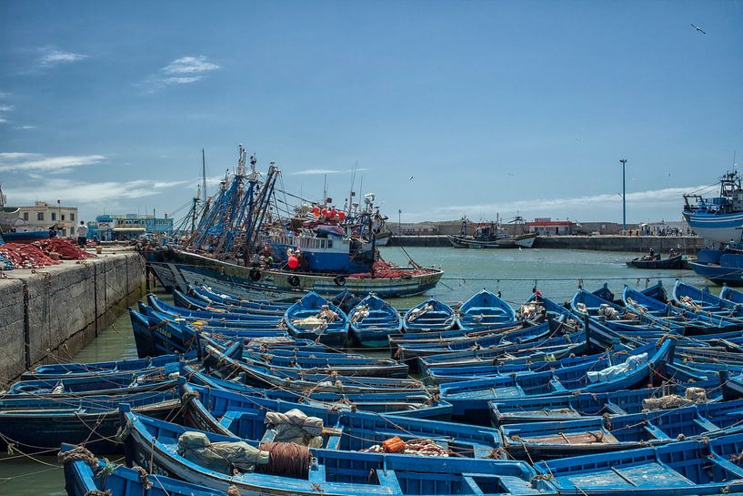 Blauwe vissersboten in de haven van Essaouira in Marokko van Patricia Hofmeester
