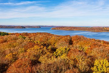 Autumnal forests and Jasmund Bodden on the island of Rügen by Rico Ködder