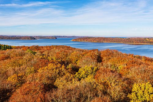 Herfstbossen en Jasmund Bodden op het eiland Rügen