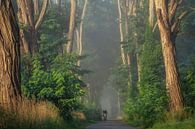 Fast rider van Martin Podt thumbnail