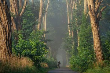 Fast rider van Martin Podt