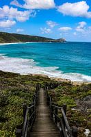 In to the sea