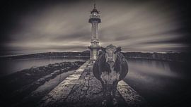 Vuurtorenrund van Patrick Mertens aka Pat Probleme