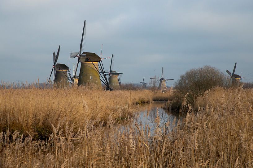 Les moulins à vent de Kinderdijk aux Pays-Bas par Gert Hilbink