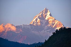 Het laatste licht op de Himalaya