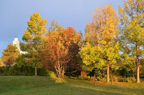 Het schoolplein in de herfst