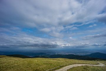 France - Curved hike trail on top of mountain grand ballon in french vosges by adventure-photos