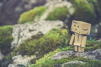 Danbo in Oostenrijk