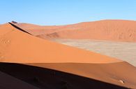 Sossusvlei, detail van een duinenlandschap van Nicolas Vangansbeke thumbnail