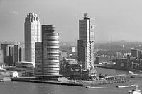 Rotterdam Sky Line