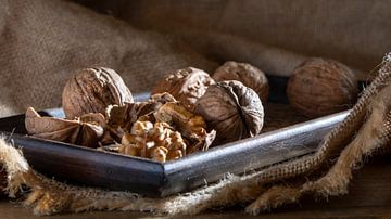 walnuts by Alex Neumayer