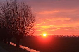 Zonsopkomst in Nieuwkoop