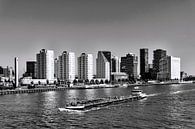 Skyline Rotterdam van Ton de Koning thumbnail