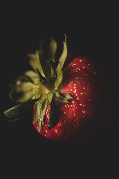 Strawberry by Foto Studio Labie