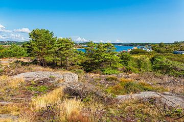 Landschap op het eiland Merdø bij Arendal in Noorwegen van Rico Ködder