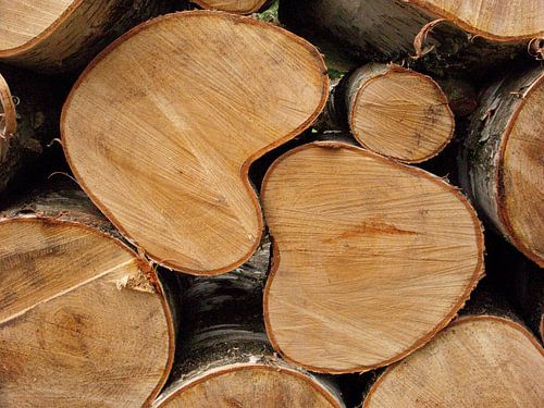 Liefdevolle bomen