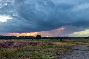 Op de heide