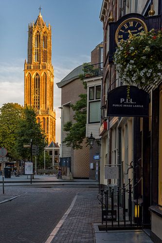 Yellow Dom Tower in Utrecht